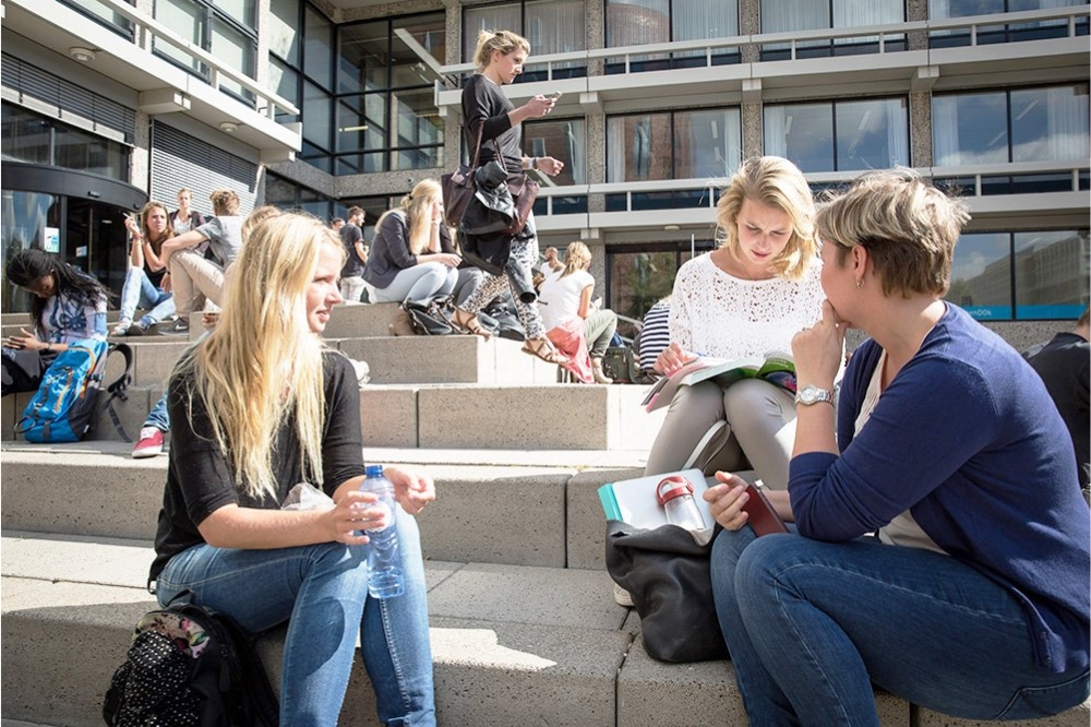 Things to Know Before Applying to Study in Netherlands