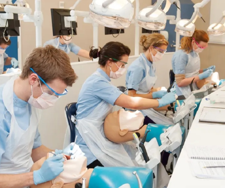 Studying dentistry in Australia